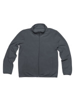 Dunkelgrau (PMS 7540C)